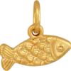 Рыба. ИХТИС